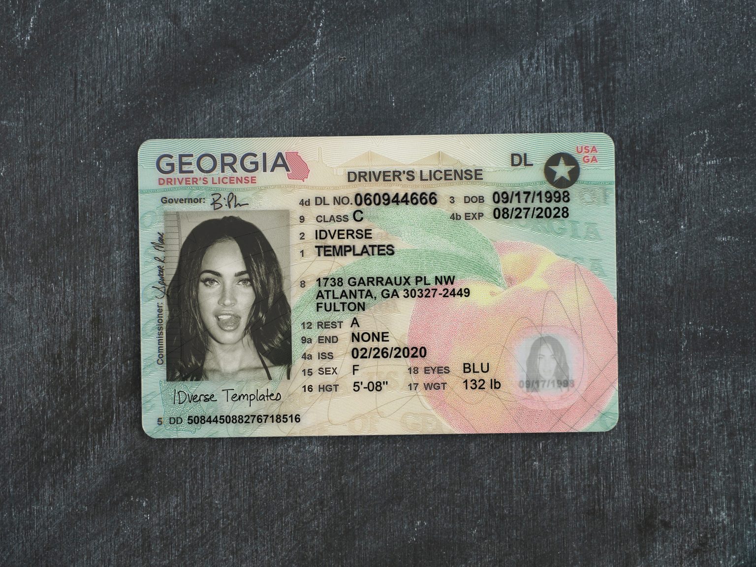 Georgia DL – IDVERSE
