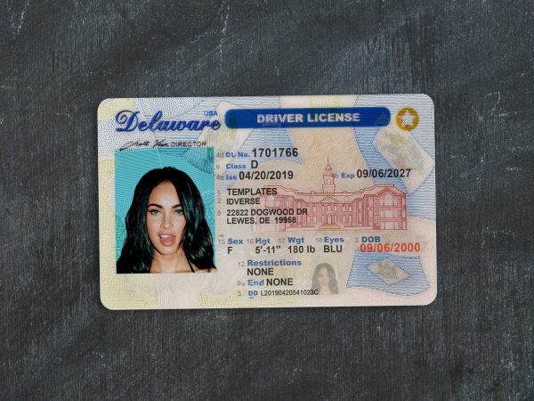 Delaware DL