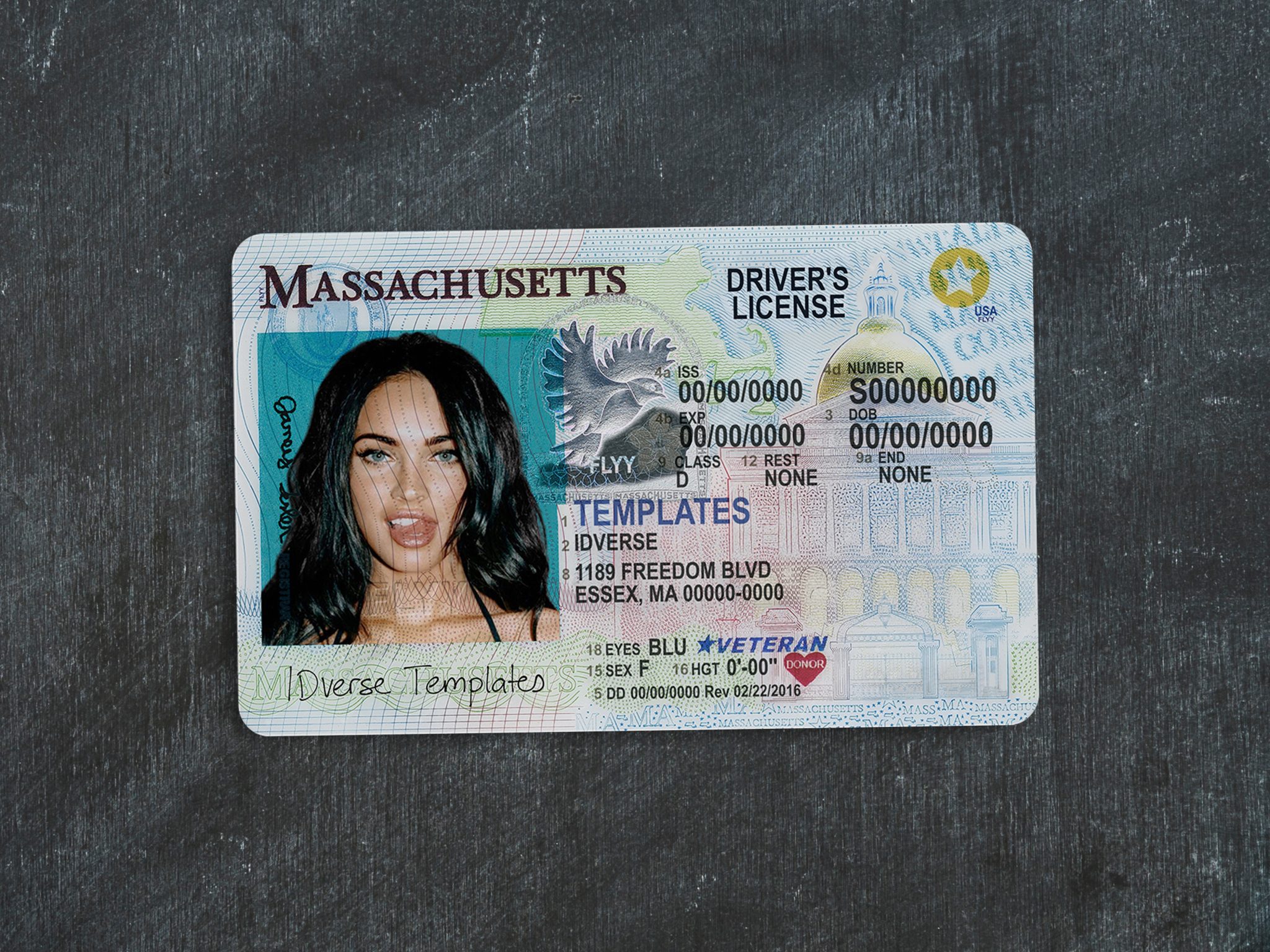 Massachusetts DL – IDVERSE